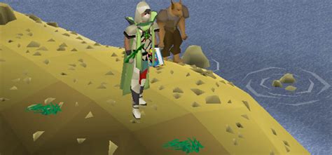 You can collect them at Waterbirth Island, where there are six spawns. . Snape grass osrs